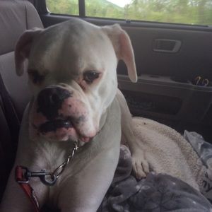 Meet your Posher, Mark